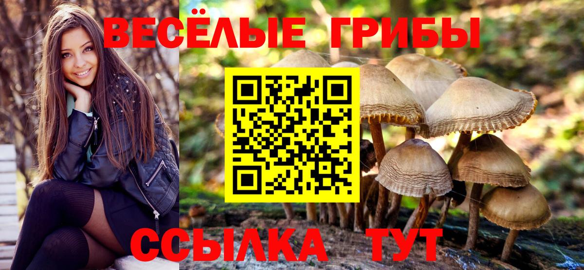 NBOMe Урюпинск