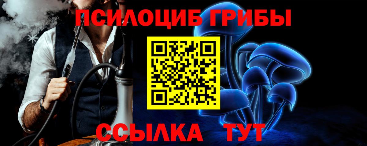Урюпинск  Галлюциногенные грибы мухоморы  Вход с VPN 